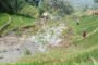 Aneh, Fenomena Tanah Persawahan di Ponorogo Tiba-Tiba Meleleh